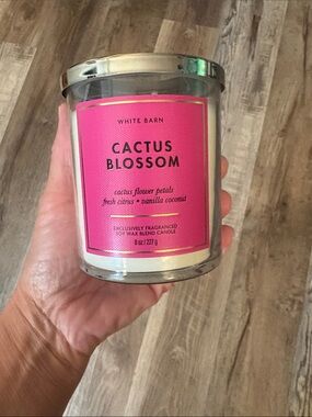 🆕 🕯️ White Barn Cactus Blossom single wick